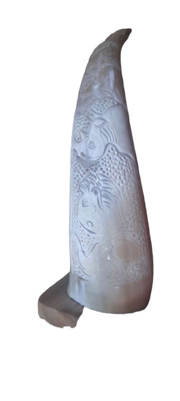Crafted Horn With The Big 5 On Wood Stand