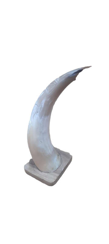 Crafted Horn With The Big 5 On Wood Stand