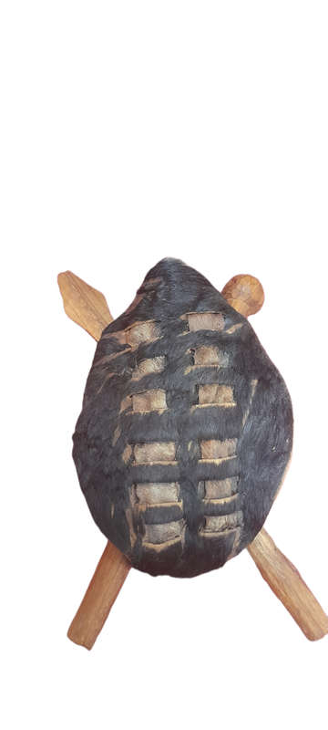 Zulu Shield