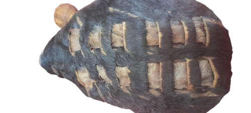 Zulu Shield