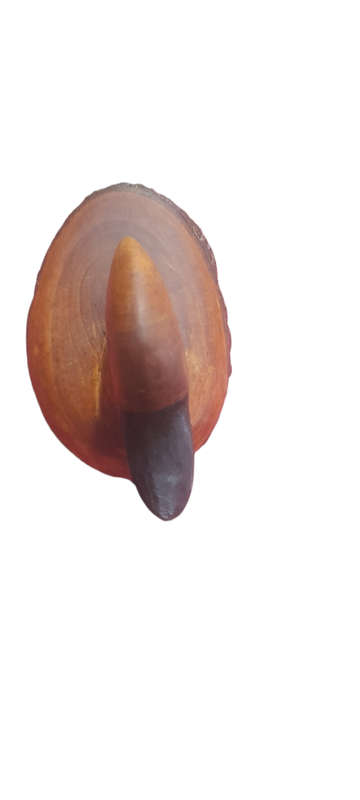 Carved Wooden Duck