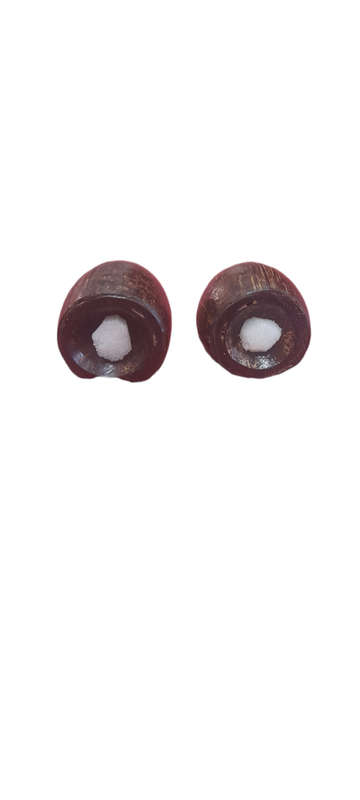 Salt And Pepper Shakers