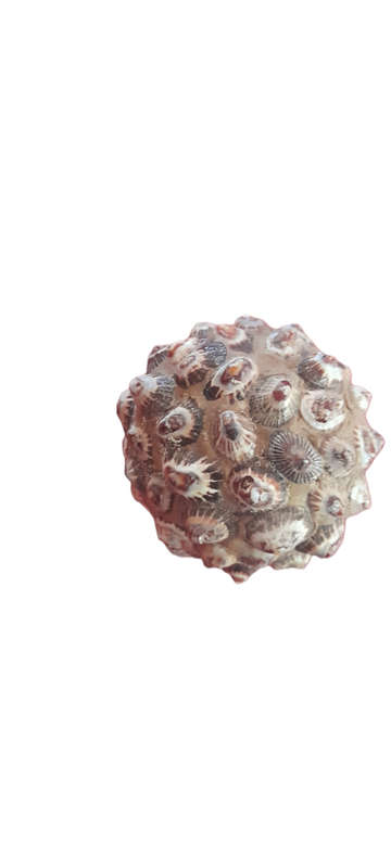 Monkey Apple Ball