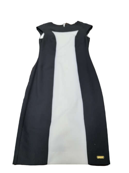 LDS Caren Monochromatic White Bodice Dress