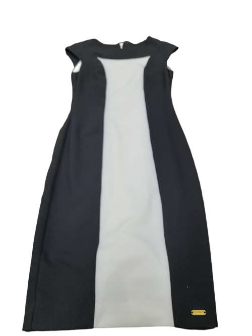 LDS Caren Monochromatic White Bodice Dress