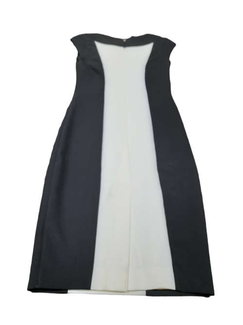 LDS Caren Monochromatic White Bodice Dress
