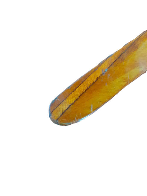 Felix Junior Boomerang