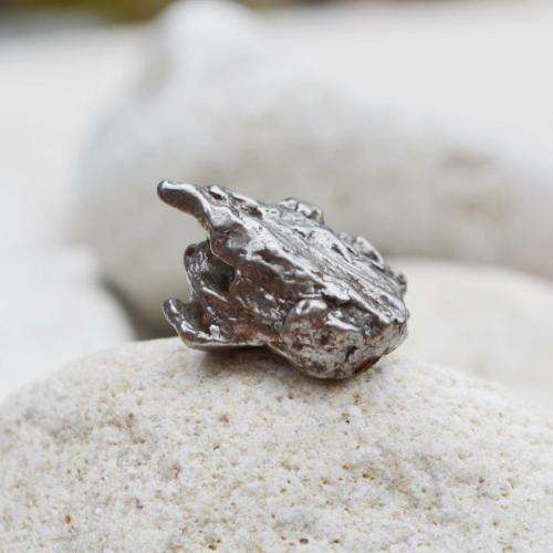 Campo Del Cielo Iron Meteorite Fragment
