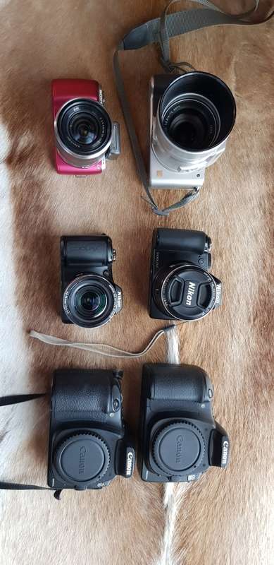 Lot of Cameras (6 in total) ALL Working incl Sony Nex C3 - 2x Canon 20D - 2x Nikon's - Panasonic