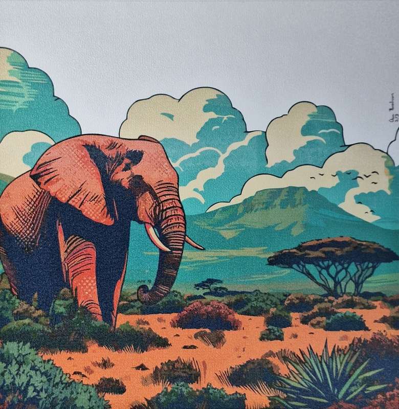 Anna Ibrahim - Addo Elephant / 40cm x 40cm signed print marked 3/3
