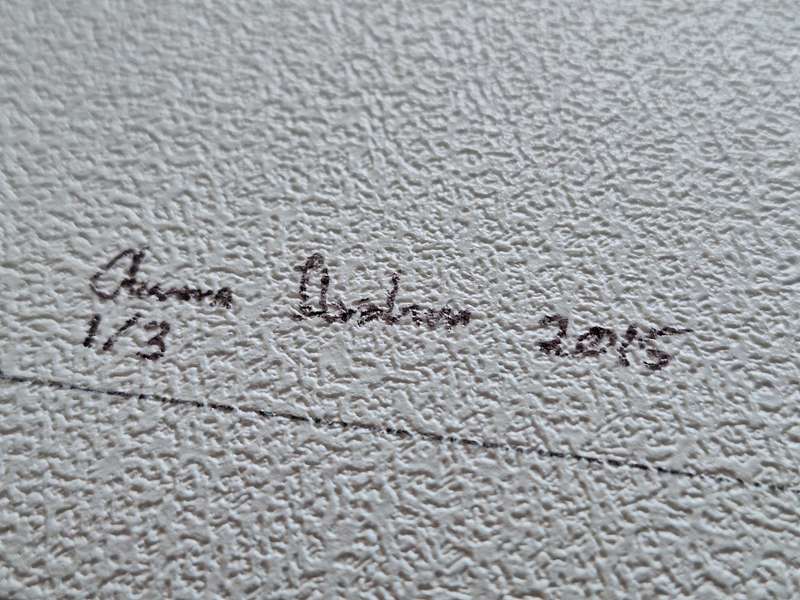 Anna Ibrahim - Addo Elephant / 40cm x 40cm signed print marked 3/3