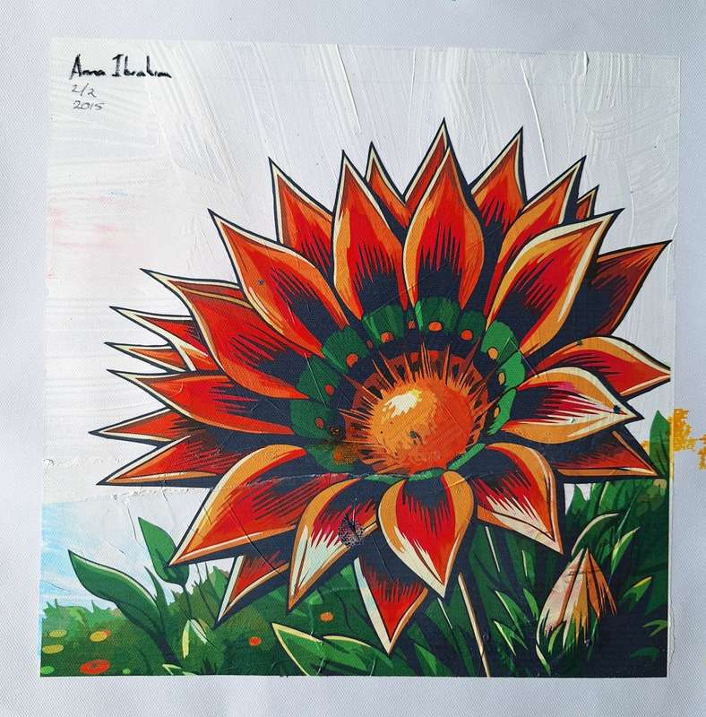 Anna Ibrahim - Gazania Kiss Golden Flame / 25cm x 25cm Mixed media, signed and datedmarked 2/2