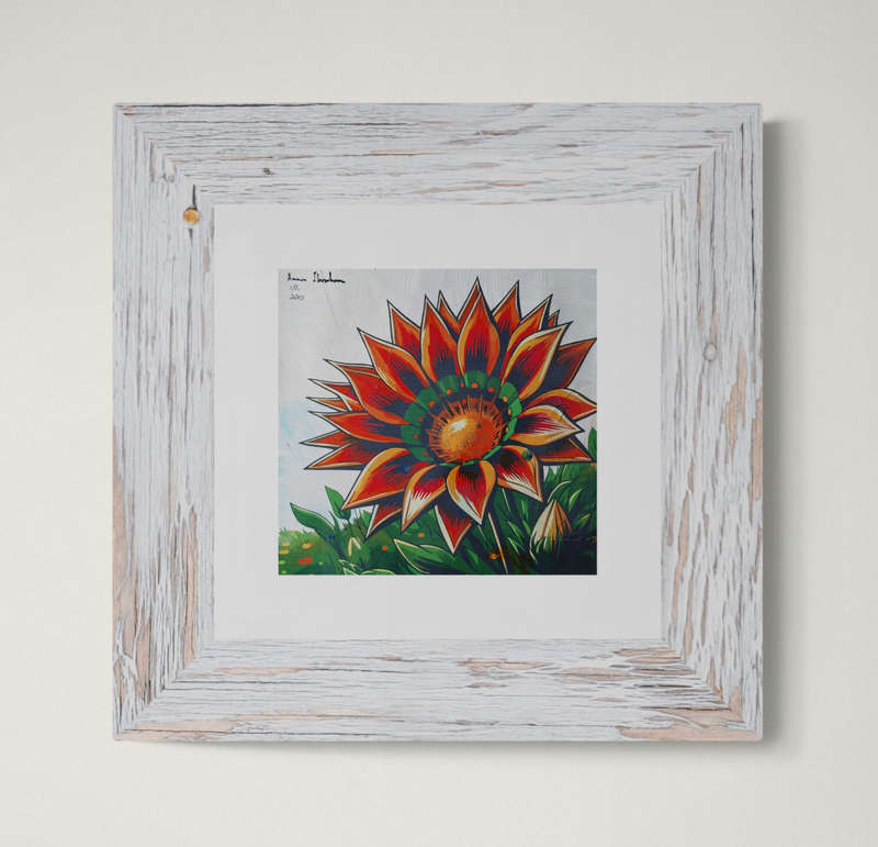 Anna Ibrahim - Gazania Kiss Golden Flame / 25cm x 25cm Mixed media, signed and dated marked 1/2