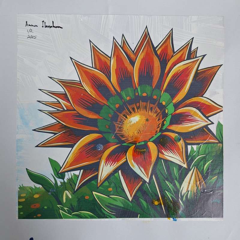Anna Ibrahim - Gazania Kiss Golden Flame / 25cm x 25cm Mixed media, signed and dated marked 1/2