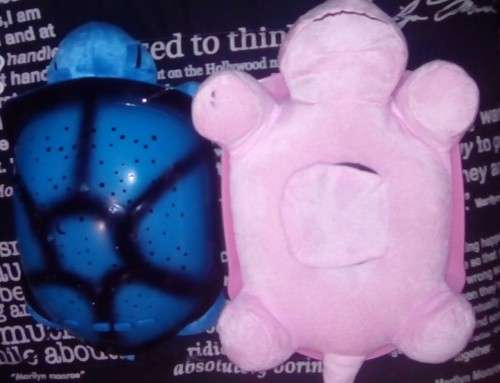 Tortoise Musical lights