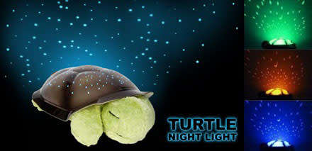 Tortoise Musical lights