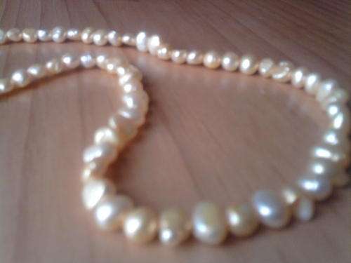 unusual buttercup colour fresh water pearls