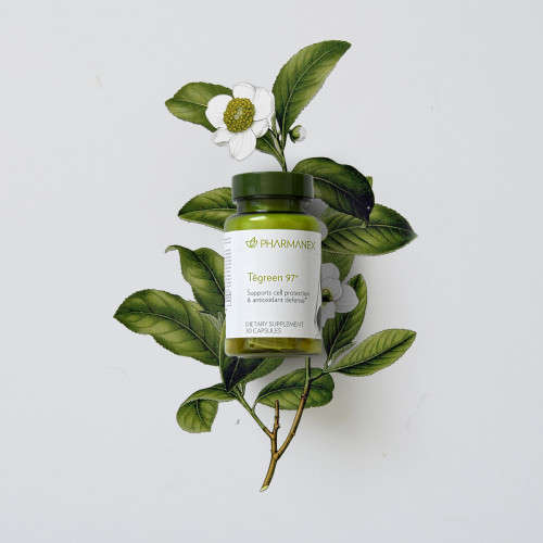 Tegreen 97 (1 Capsule  7 Cups of Green Tea)