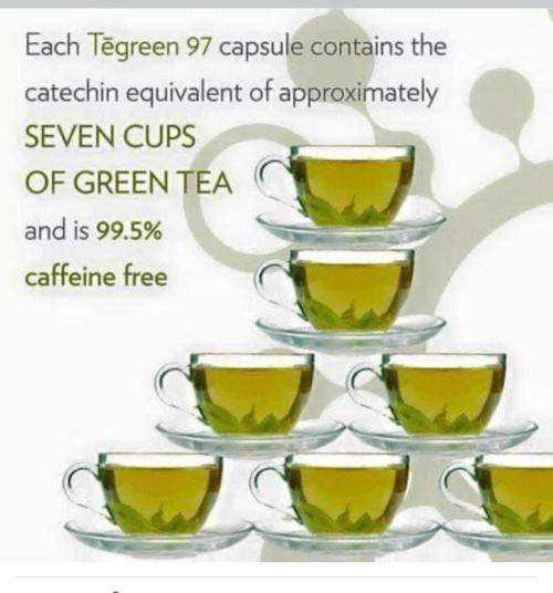 Tegreen 97 (1 Capsule  7 Cups of Green Tea)