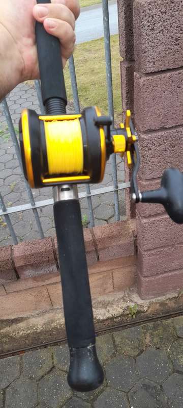 Fishing rod and reel