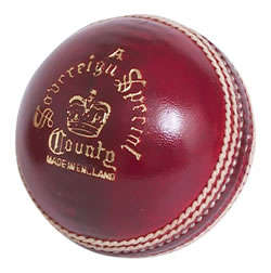 *Signed GM Hero Mini Cricket Bat!**Signed by India Test 1st team (02/01/07)* Pictures in Description