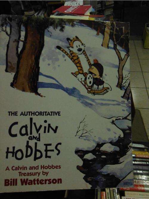 The Authoritative Calvin and Hobbes