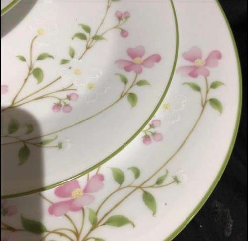 Noritake First Blush dinner service(PORC798)