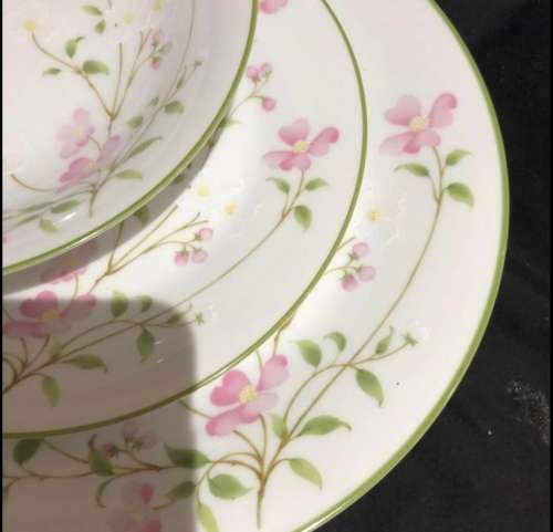 Noritake First Blush dinner service(PORC798)
