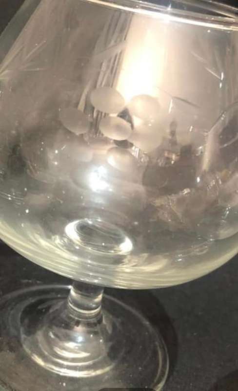 Glasses Grape etched cognac/brandy  set