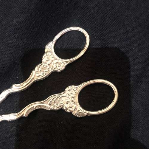 Grape scissors (A)
