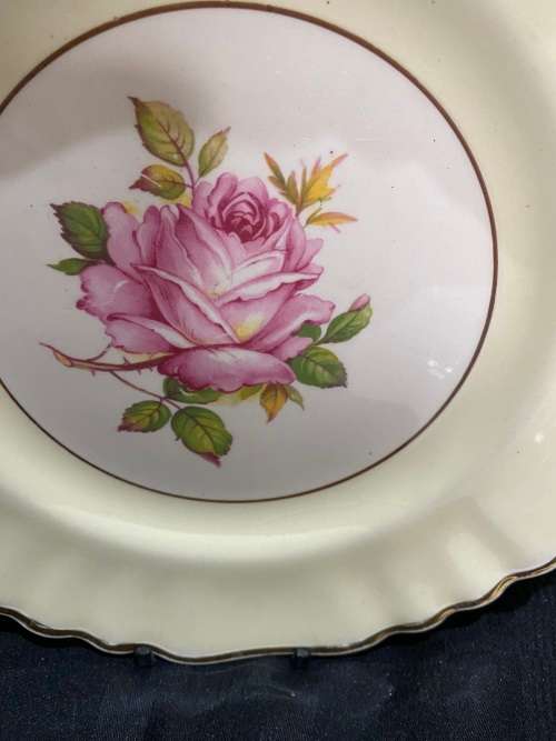 Cake platter/plate