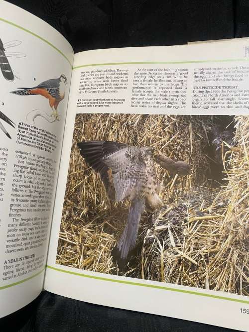 Book Predators