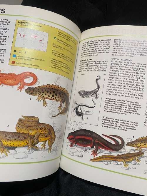 Book Predators