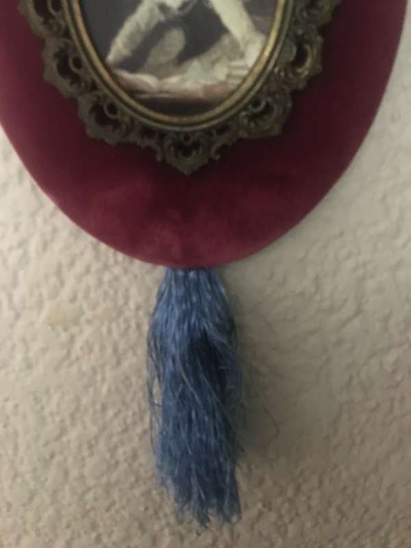 Wall hanging cameo velveteen