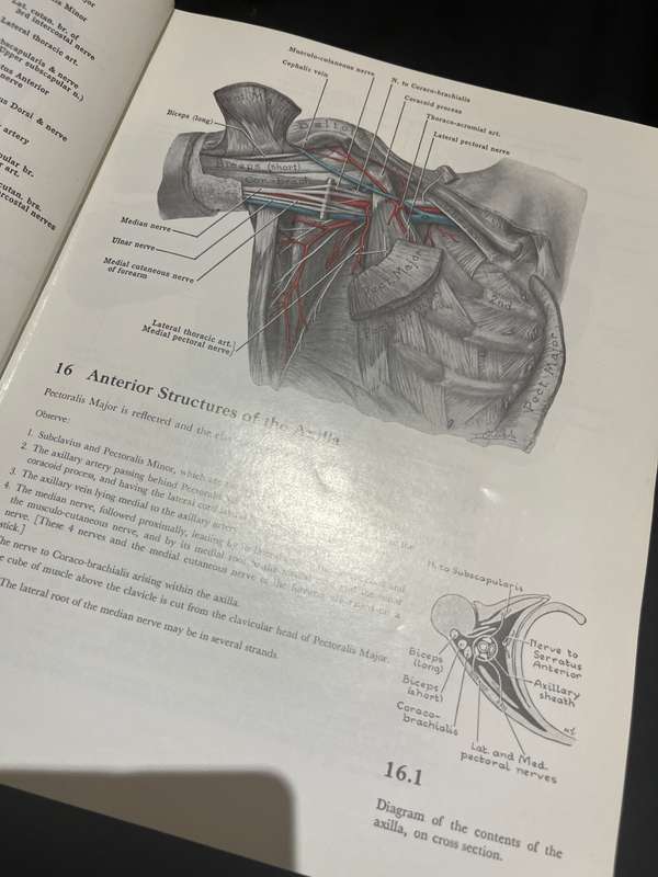 Book Grants Atlas of Anatomy