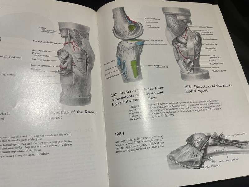 Book Grants Atlas of Anatomy