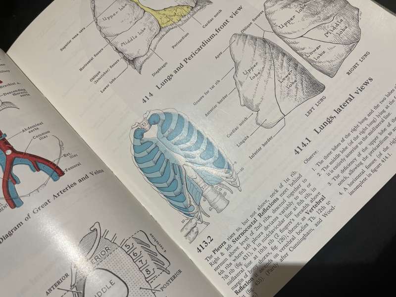 Book Grants Atlas of Anatomy