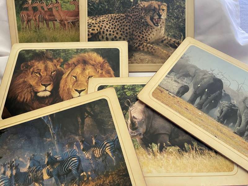 Placemats African animals