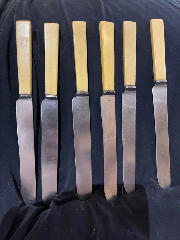 Knives bone handled(B)