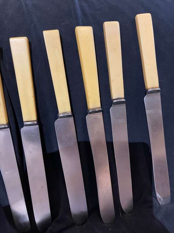 Knives bone handled(B)