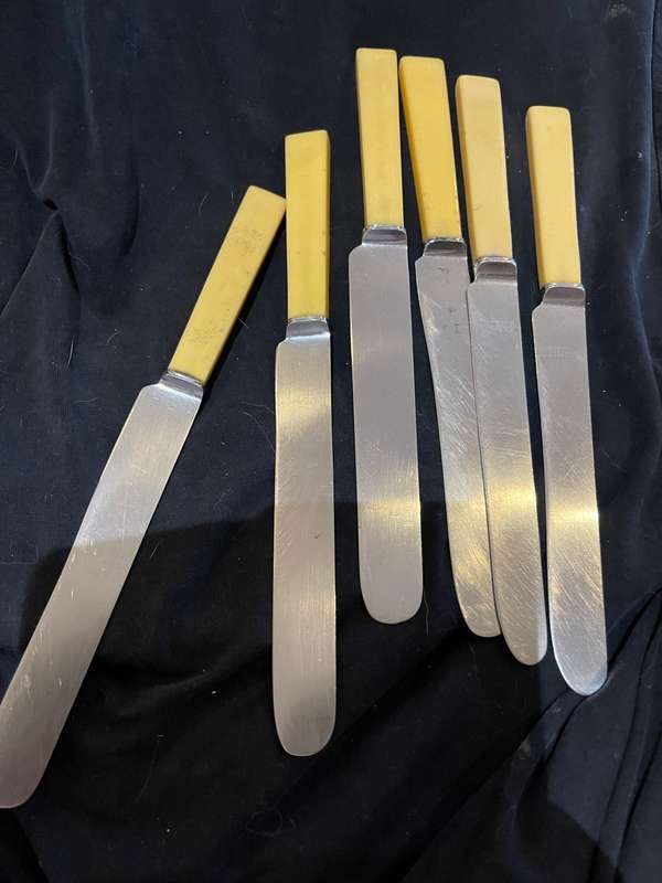 Knives bone handled(B)