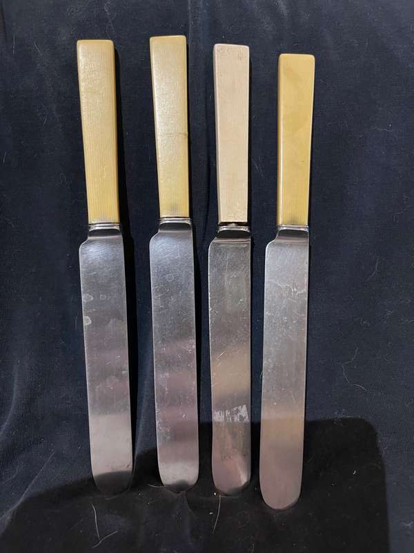 Knives bone handled(C)