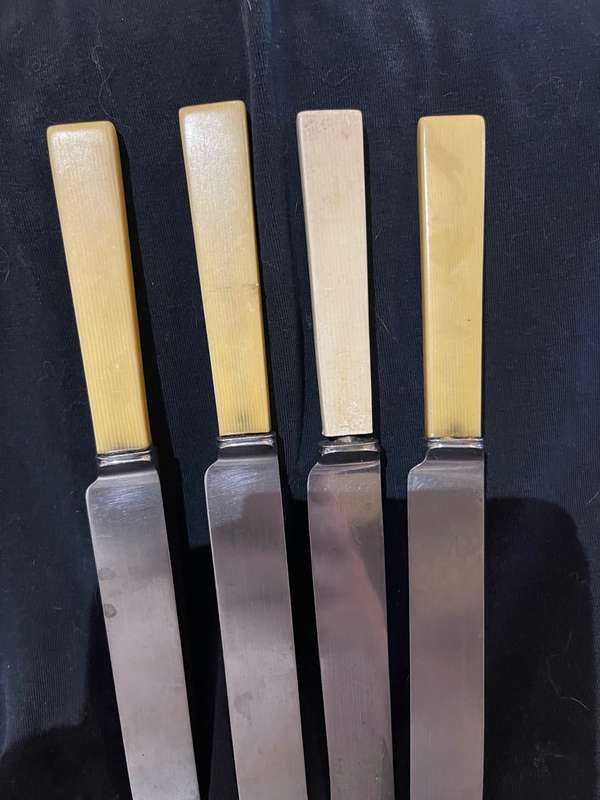 Knives bone handled(C)
