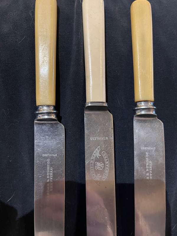 Knives bone handled(E)