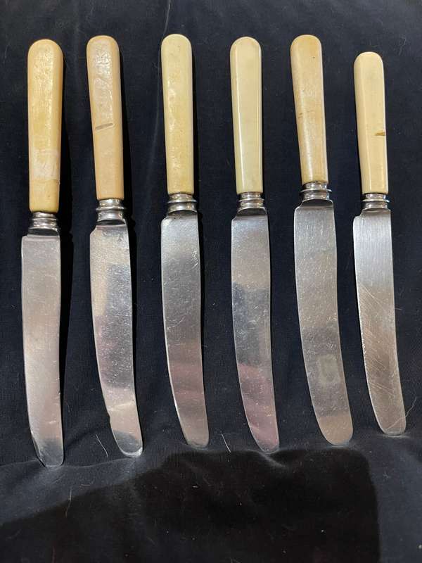 Knives bone handled(F)