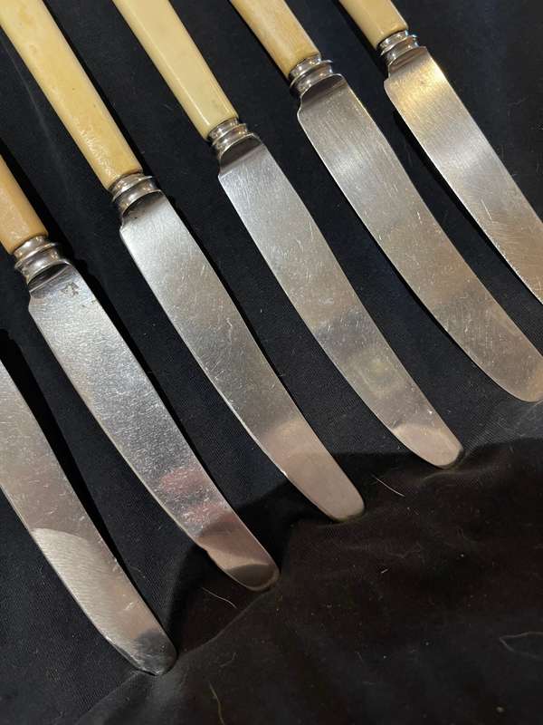 Knives bone handled(F)