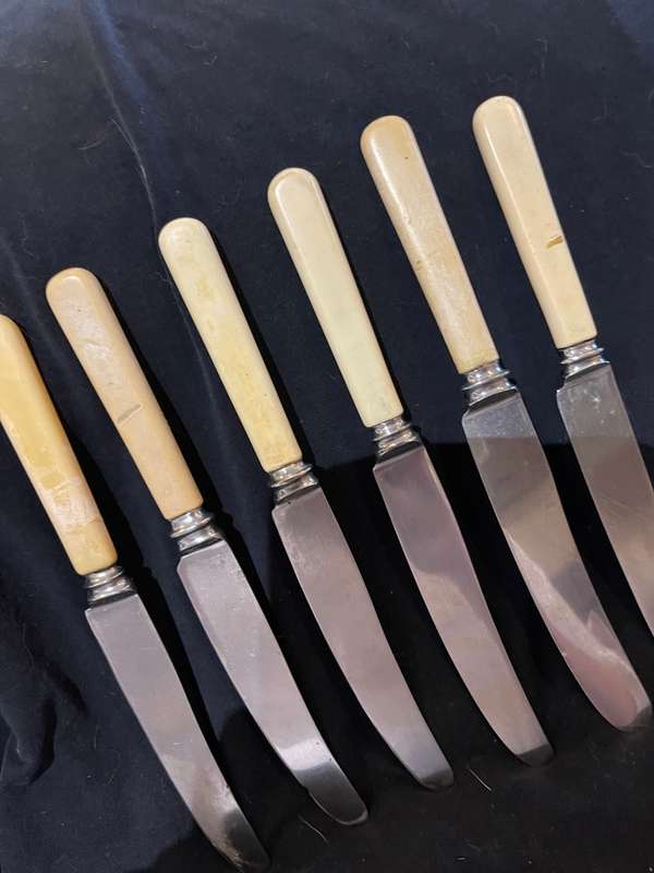 Knives bone handled(F)