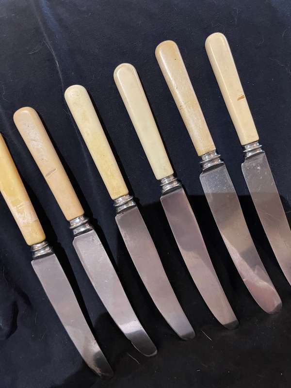 Knives bone handled(F)