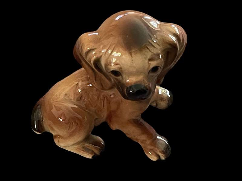 Ornament dog
