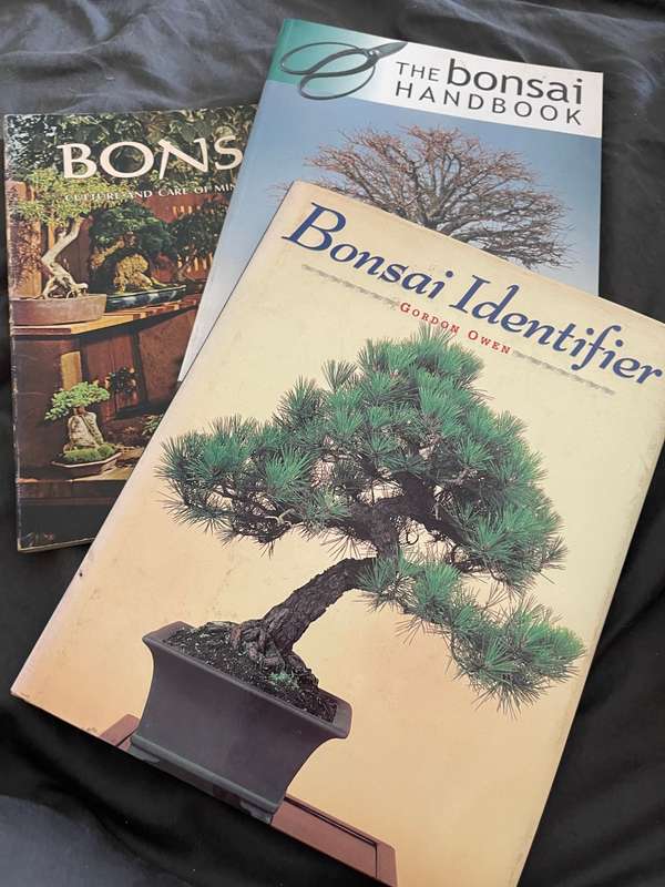 Bonsai trees books x3
